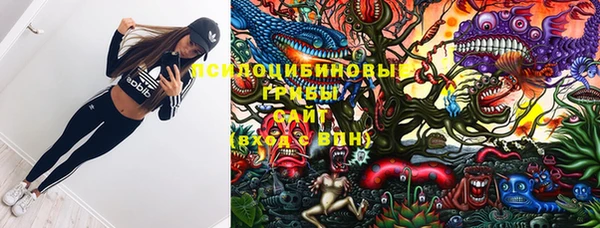МДПВ Волоколамск