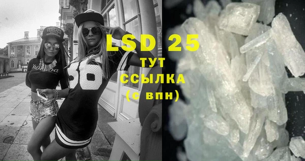 ГАЛЛЮЦИНОГЕННЫЕ ГРИБЫ Вязники