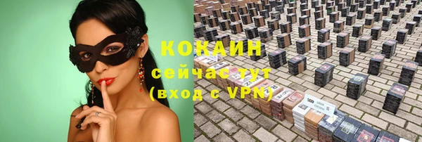 ПСИЛОЦИБИНОВЫЕ ГРИБЫ Вяземский