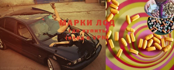 ГАЛЛЮЦИНОГЕННЫЕ ГРИБЫ Вязники